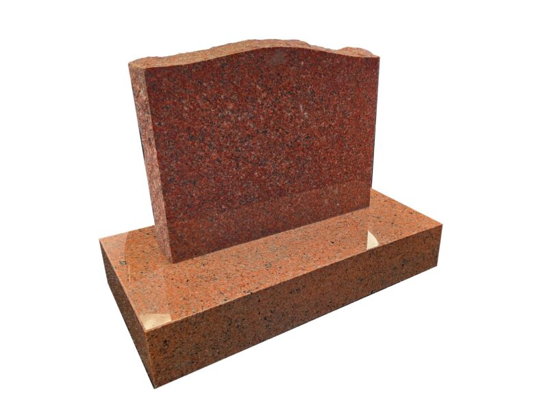 Ruby Red Rockedged Saddletop - AIS 048-3