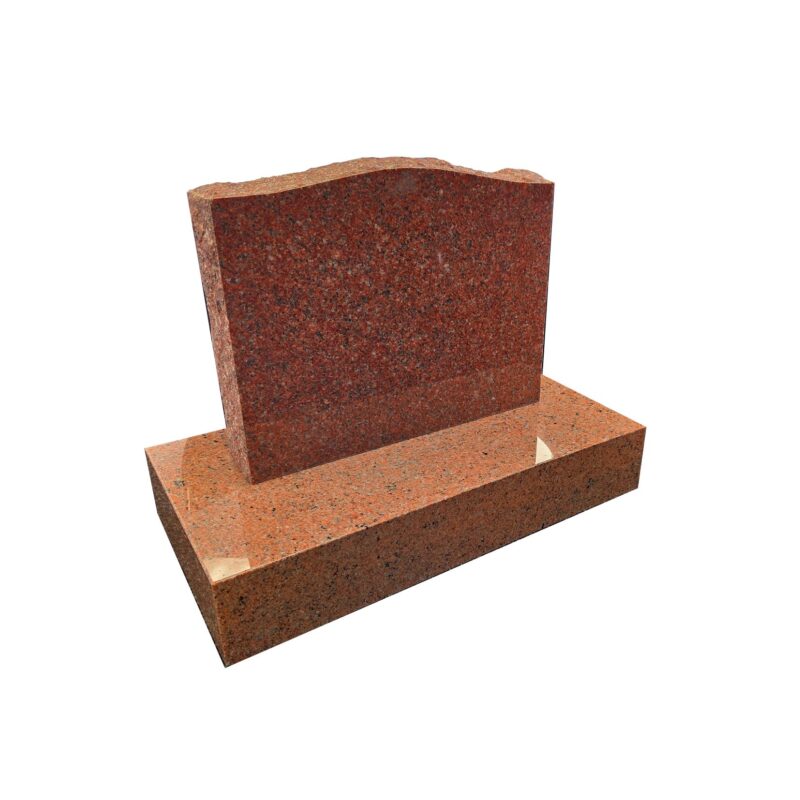 Ruby Red Rockedged Saddletop - AIS 048-3